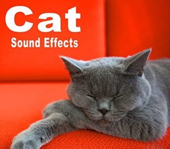 好莱坞边缘音效库:猫科动物音效
