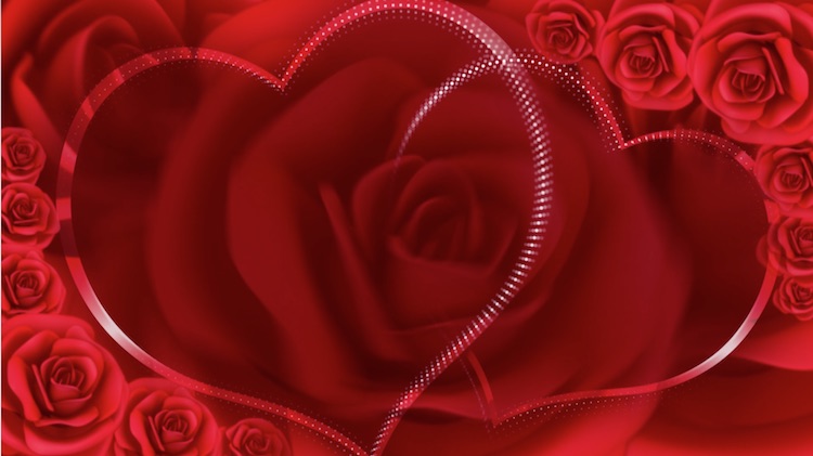 红玫瑰婚礼爱情浪漫素材