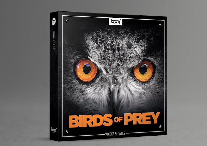 猛禽 鸟类音效:Birds Of Prey